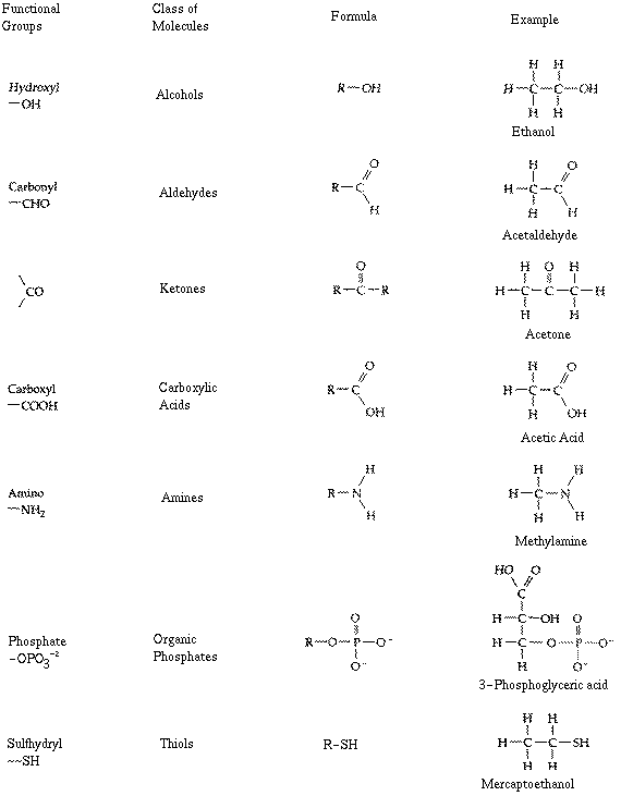 Functional Groups