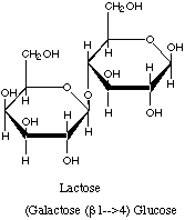 It should turn on the enzymes