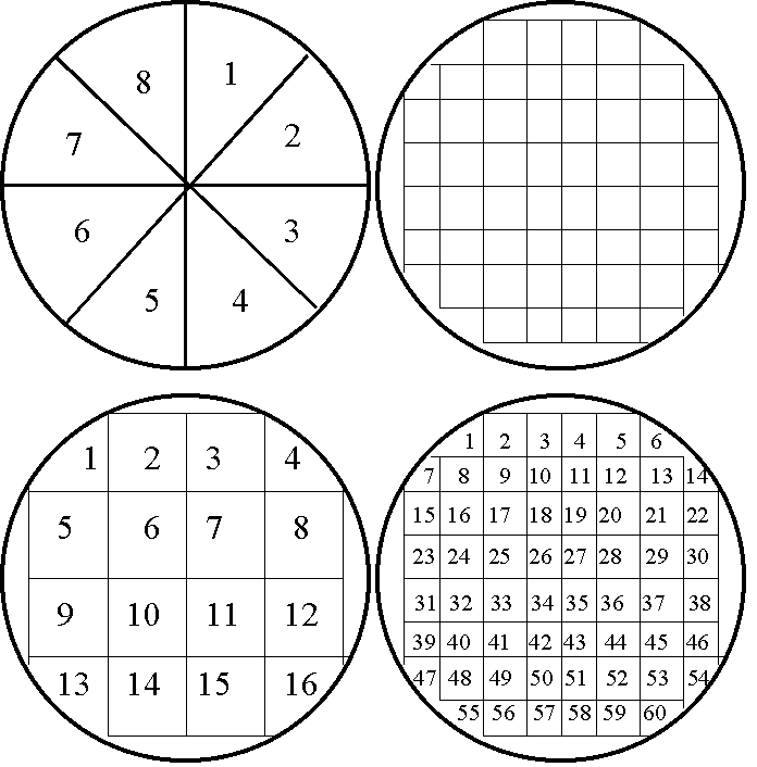 Cell Biology Protocols